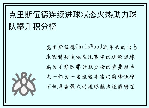 克里斯伍德连续进球状态火热助力球队攀升积分榜